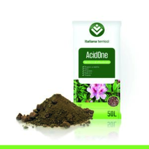 AcidOne