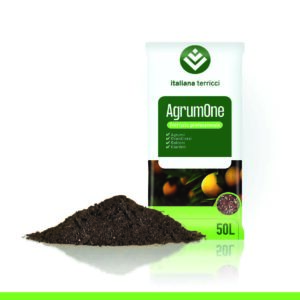 AgrumOne