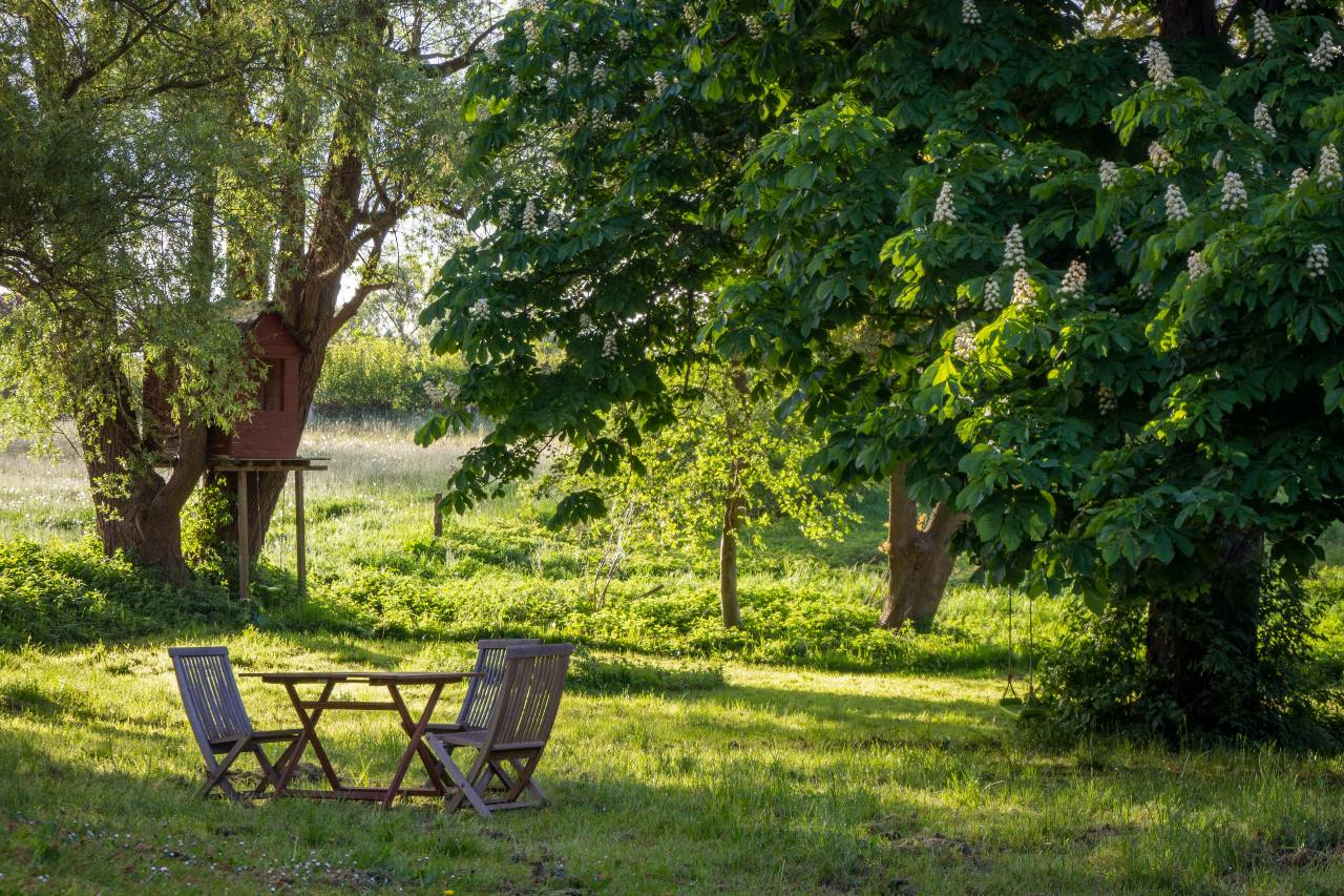 Trasformare il giardino in un’oasi verde con l’aiuto di un agronomo