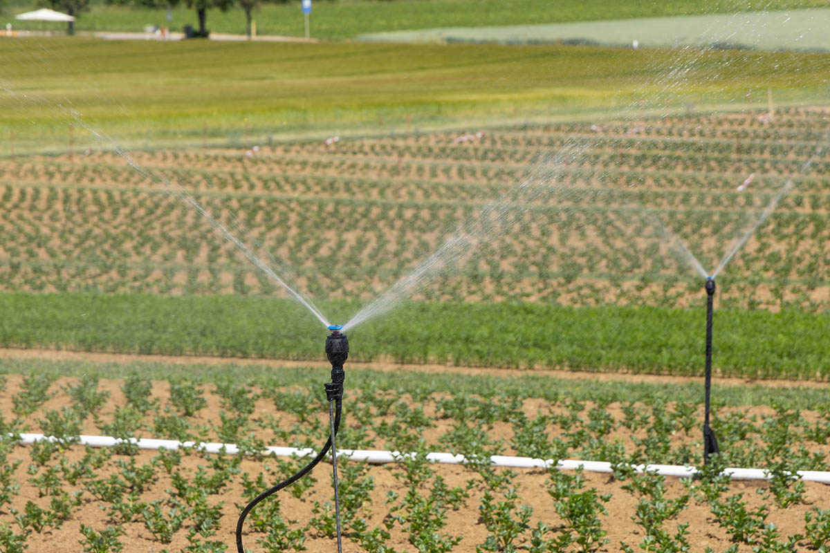 Irrigazione smart, tecnologia in giardino