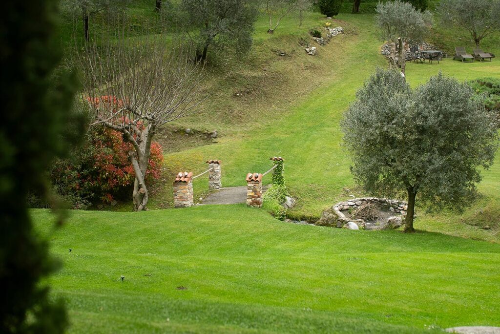 Concime per il prato