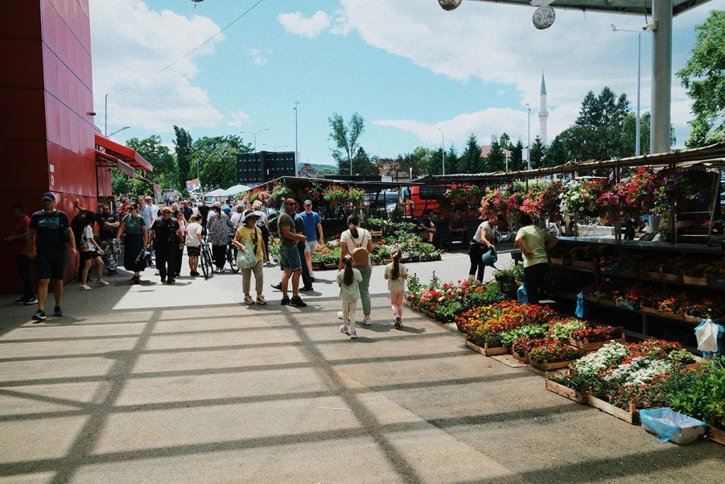 Eventi 2026 di giardinaggio