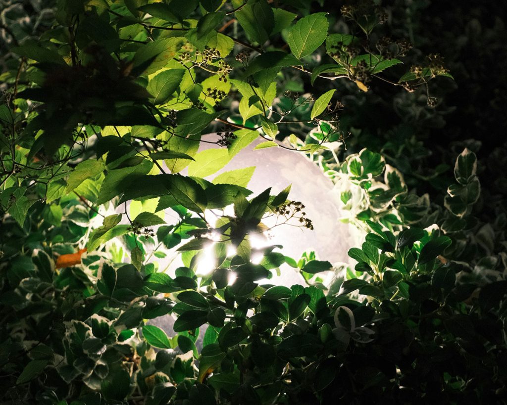 luce nel giardinaggio