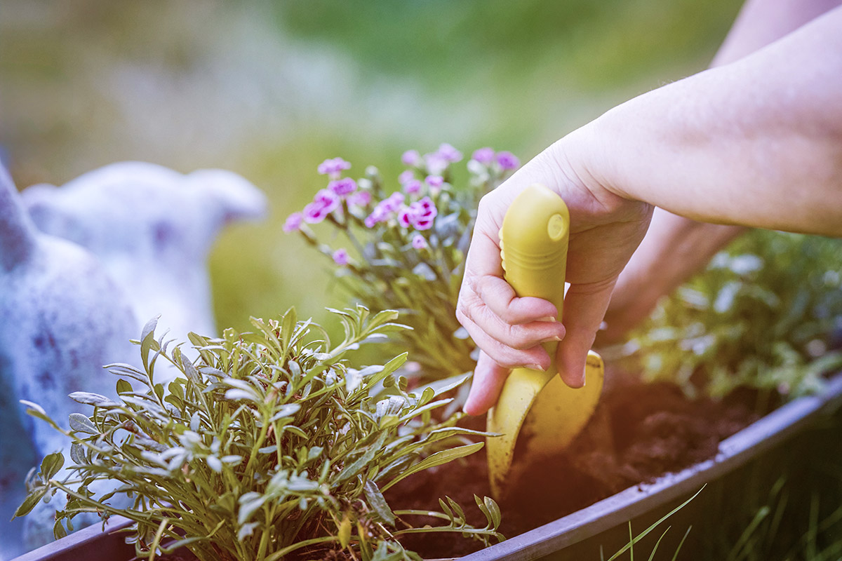 Giardinaggio fai da te: guida pratica per partire bene e ottenere risultati