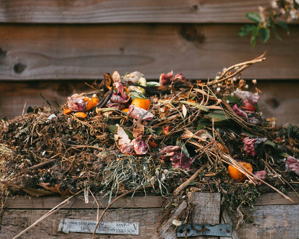 Compostaggio domestico