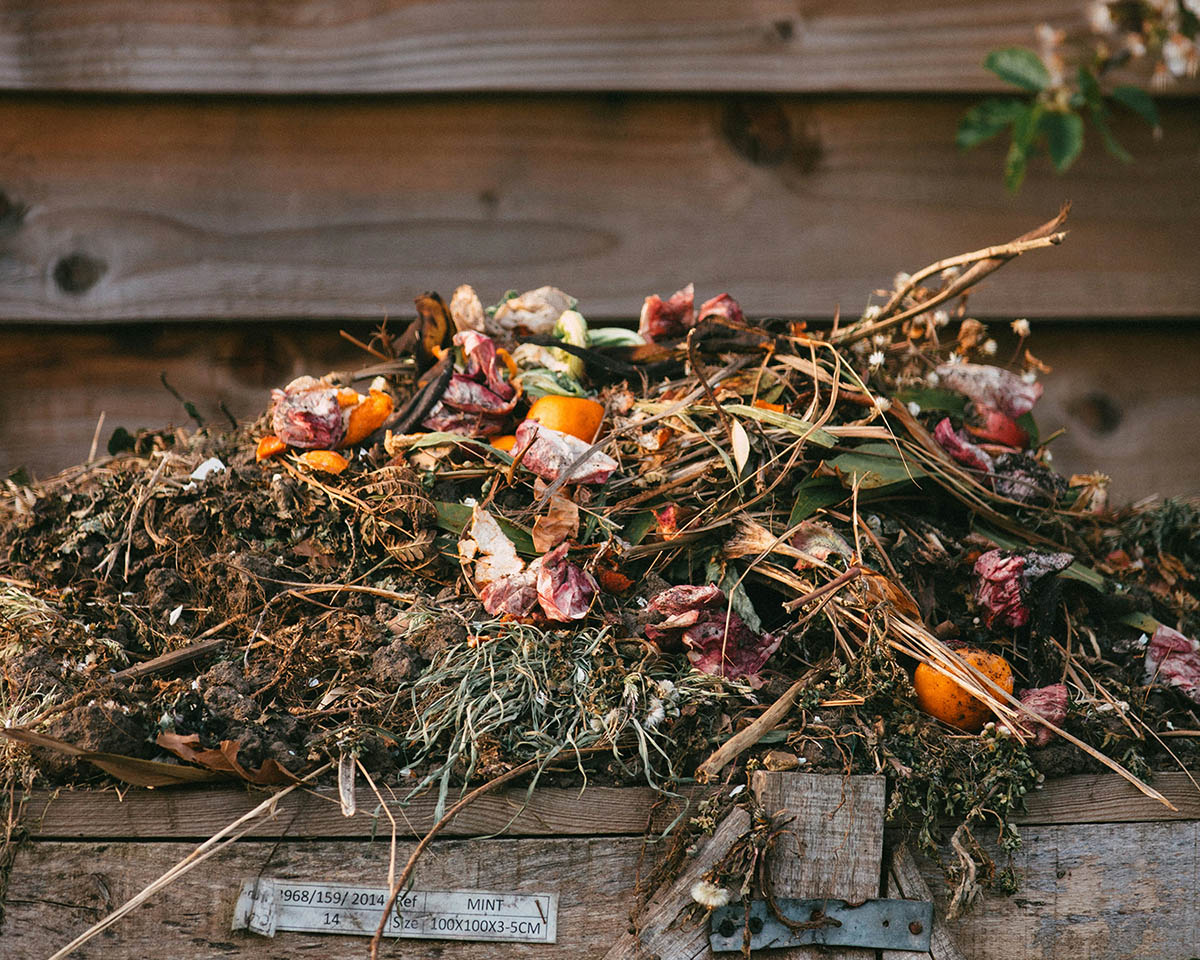 Guida per un terreno più fertile con il compostaggio domestico