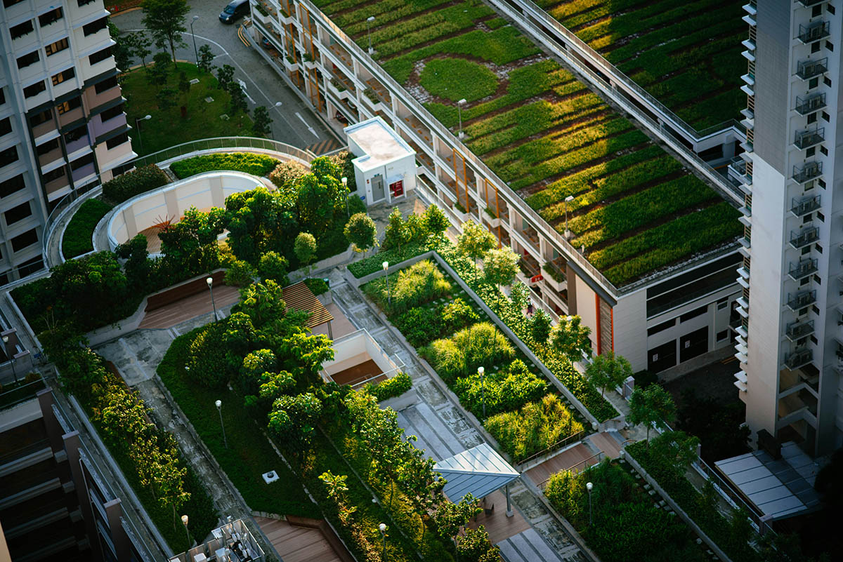 Permacultura urbana: coltivare ecosistemi sostenibili in città